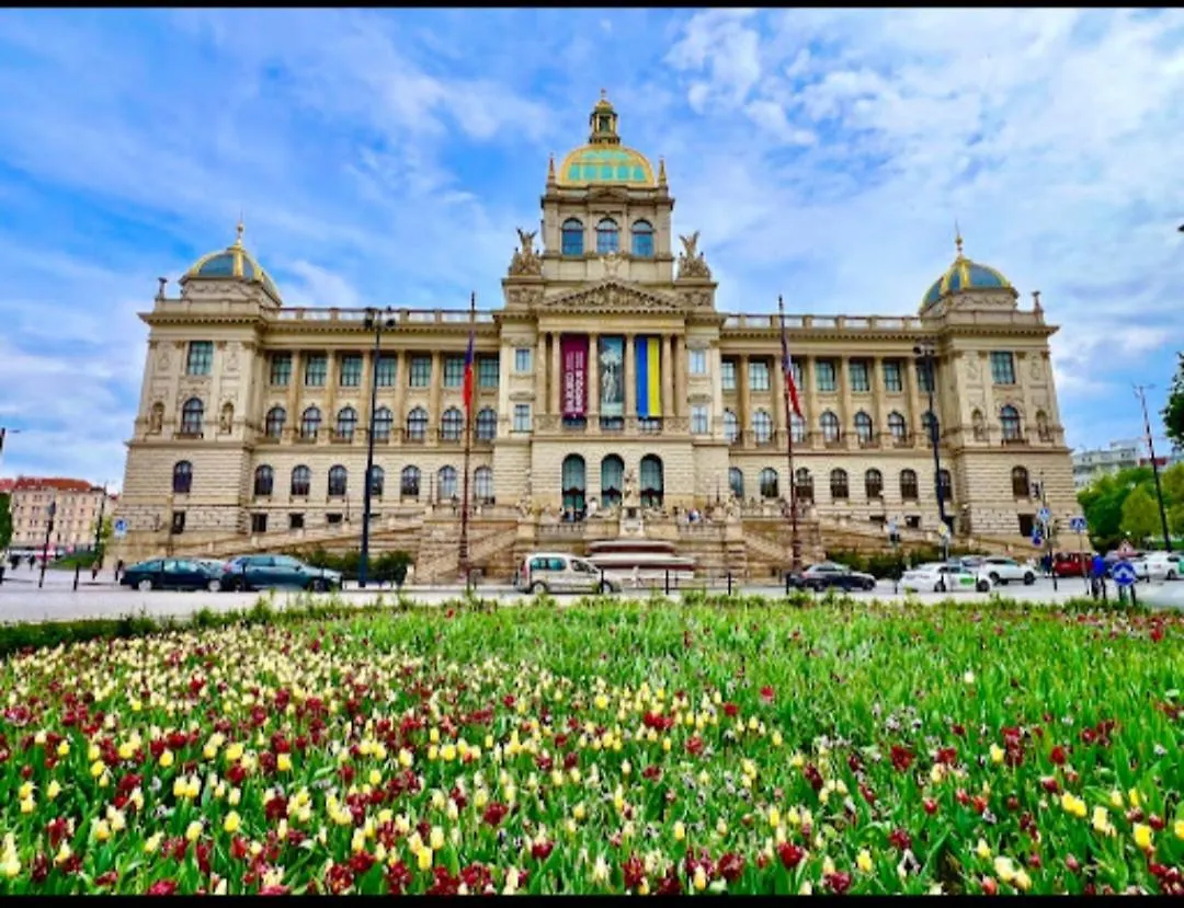 Vikys Apartment Prag