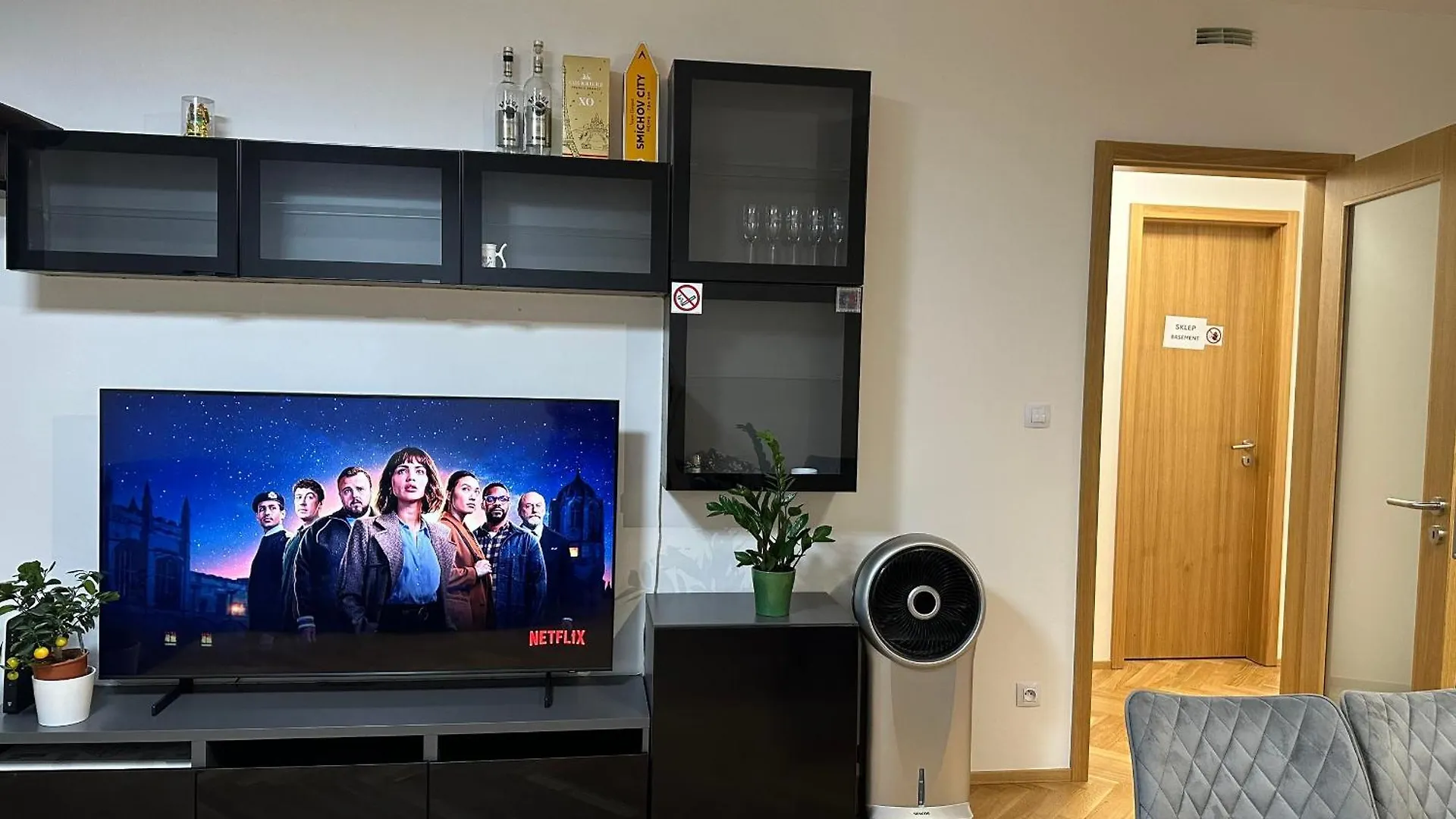 Vikys Apartment Prag